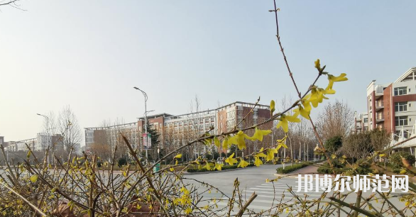 鶴壁職業(yè)技術(shù)師范學(xué)院2023年報名條件、招生要求、招生對象