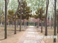濮陽職業(yè)技術(shù)師范學(xué)院2023年報(bào)名條件、招生要求、招生對象