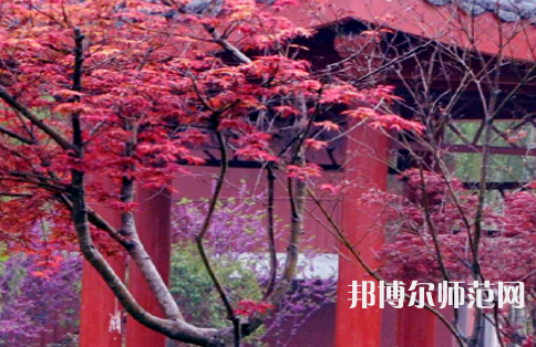 駐馬店師范職業(yè)技術(shù)學(xué)院2023年怎么樣、好不好
