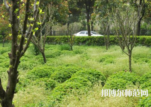 駐馬店師范職業(yè)技術學院2023年報名條件、招生要求、招生對象