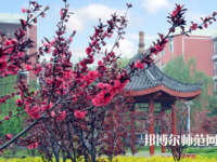 駐馬店師范職業(yè)技術(shù)學(xué)院2023年報(bào)名條件、招生要求、招生對象