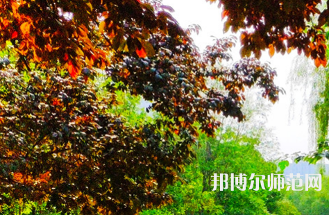 河南大學師范學院金明校區(qū)2023年怎么樣、好不好