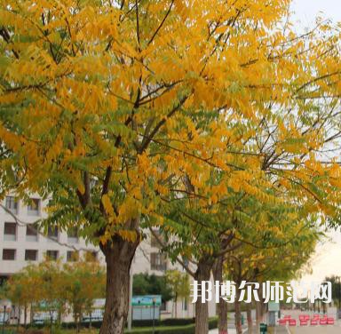 榆林職業(yè)技術(shù)師范學(xué)院2023年怎么樣、好不好