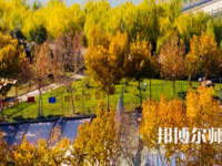 河南理工師范大學(xué)北校區(qū)2023年報(bào)名條件、招生要求、招生對象
