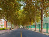 聊城師范大學(xué)東昌學(xué)院2023年報(bào)名條件、招生要求、招生對(duì)象
