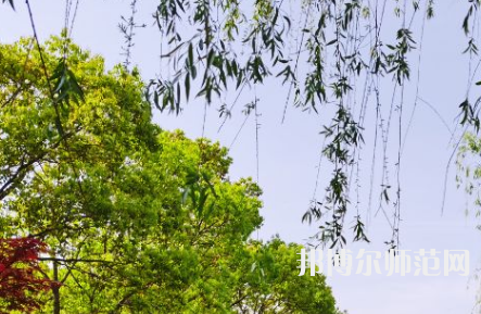南陽理工師范學院2023年報名條件、招生要求、招生對象
