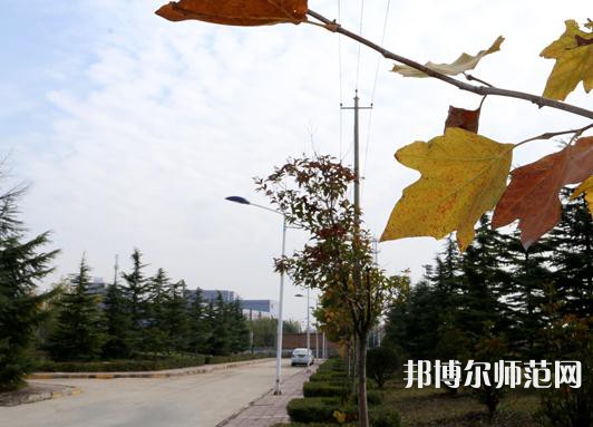 陜西中醫(yī)藥師范大學南校區(qū)2023年報名條件、招生要求、招生對象