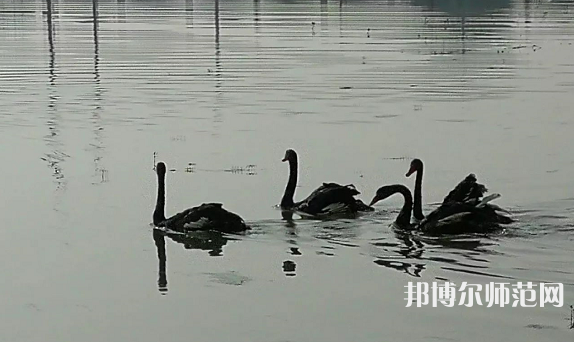 浙江師范大學(xué)行知學(xué)院蘭溪校區(qū)2023年怎么樣、好不好