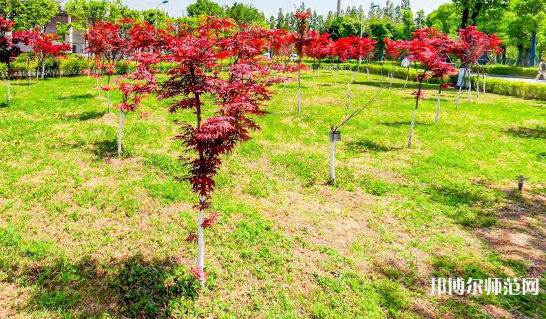 漢中職業(yè)技術師范學院2023年怎么樣、好不好