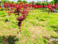 漢中職業(yè)技術(shù)師范學(xué)院2023年怎么樣、好不好