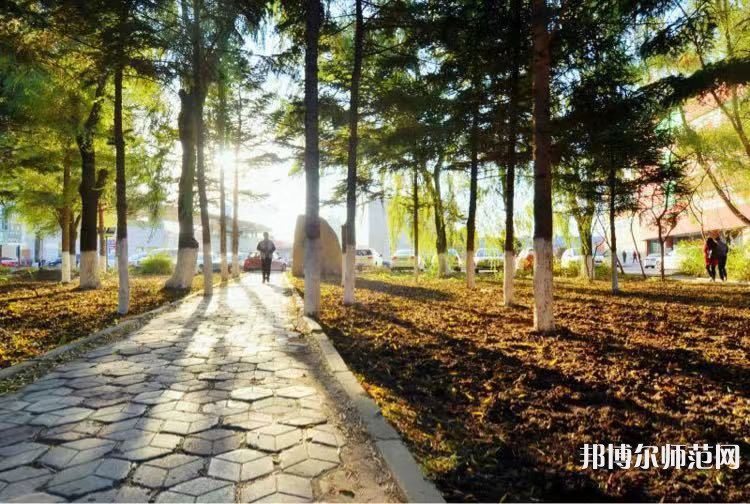 長春大學師范學院主校區(qū)2023年報名條件、招生要求、招生對象