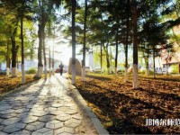 長(zhǎng)春大學(xué)師范學(xué)院主校區(qū)2023年報(bào)名條件、招生要求、招生對(duì)象