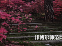 信陽師范學(xué)院華銳學(xué)院2023年報(bào)名條件、招生要求、招生對(duì)象