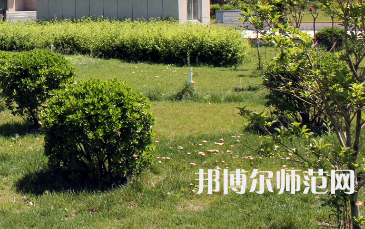 安陽幼兒師范高等?？茖W(xué)校歷年招生錄取分?jǐn)?shù)線