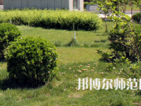 安陽幼兒師范高等?？茖W(xué)校歷年招生錄取分?jǐn)?shù)線