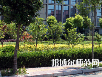 安陽幼兒師范高等專科學校2023年有哪些專業(yè)