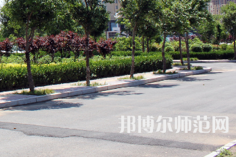 安陽幼兒師范高等?？茖W校2023年有哪些專業(yè)