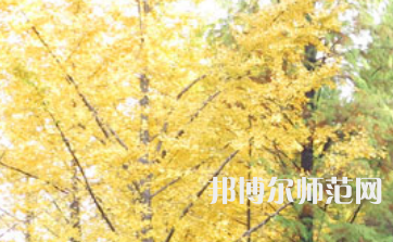 信陽師范學(xué)院2023年怎么樣、好不好