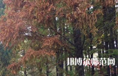 信陽師范學(xué)院2023年怎么樣、好不好