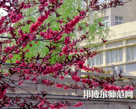 蘇州科技師范大學(xué)天平學(xué)院2023年報(bào)名條件、招生要求、招生對象