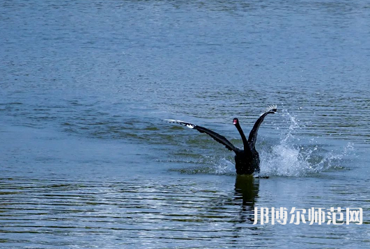 浙江師范大學2023年怎么樣、好不好