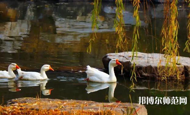 山東財經(jīng)師范大學萊蕪校區(qū)2023年報名條件、招生要求、招生對象 