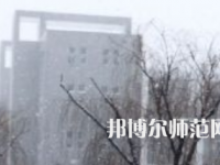 焦作師范高等專(zhuān)科學(xué)校2023年招生代碼