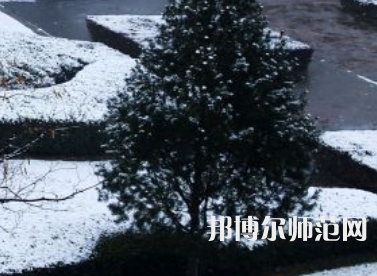 焦作師范高等?？茖W(xué)校2023年報(bào)名條件、招生要求、招生對象
