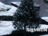 焦作師范高等?？茖W(xué)校2023年報(bào)名條件、招生要求、招生對象