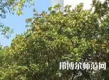 湖南理工師范學(xué)院南湖學(xué)院2023年怎么樣、好不好