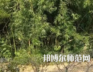 湖南理工師范學(xué)院南湖學(xué)院2023年怎么樣、好不好