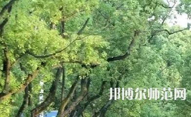 湖南理工師范學(xué)院南湖學(xué)院2023年報(bào)名條件、招生要求、招生對(duì)象