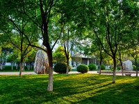 山東財(cái)經(jīng)師范大學(xué)圣井校區(qū)2023年怎么樣、好不好