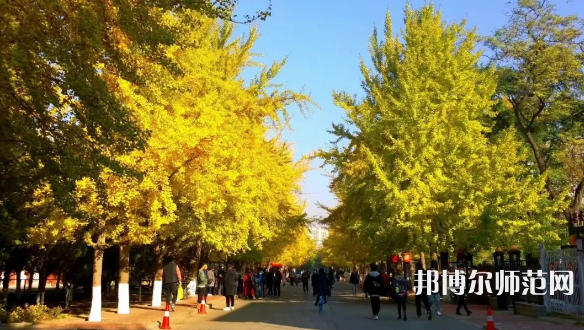 遼寧大學(xué)師范學(xué)院崇山校區(qū)2023年報(bào)名條件、招生要求、招生對(duì)象
