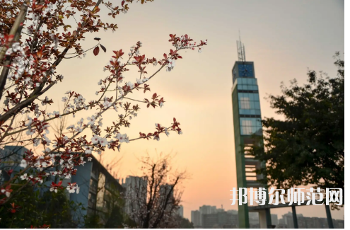 重慶文理師范學(xué)院星湖校區(qū)2023年學(xué)費(fèi)、收費(fèi)多少