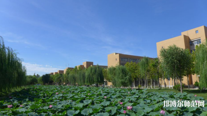 東營職業(yè)師范學(xué)院2023年報(bào)名條件、招生要求、招生對(duì)象 