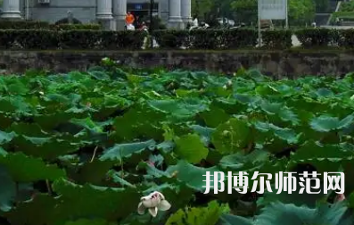 南華師范大學(xué)紅湘校區(qū)2023年報(bào)名條件、招生要求、招生對(duì)象