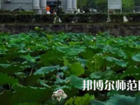 南華師范大學(xué)紅湘校區(qū)2023年報(bào)名條件、招生要求、招生對(duì)象