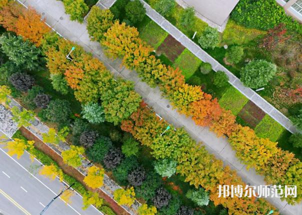 咸陽職業(yè)技術(shù)師范學院2023年招生代碼