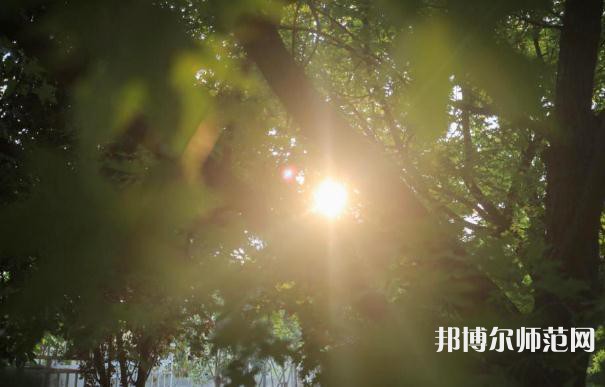 咸陽職業(yè)技術(shù)師范學(xué)院2023年報名條件、招生要求、招生對象