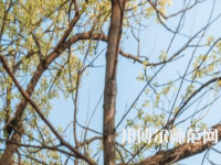 湖南大學(xué)師范學(xué)院南校區(qū)2023年怎么樣、好不好