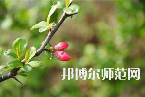 西安幼兒師范職業(yè)學(xué)校2023年學(xué)費(fèi)、收費(fèi)多少