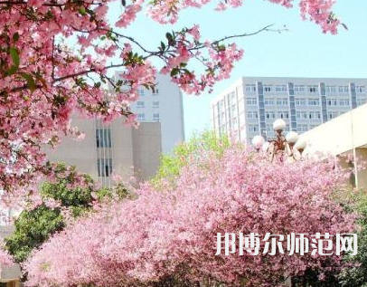 中國礦業(yè)師范大學(xué)徐海學(xué)院2023年報名條件、招生要求、招生對象
