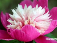 海南師范大學(xué)2023年報(bào)名條件、招生要求、招生對象