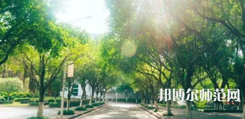 重慶師范大學涉外商貿(mào)學院合川校區(qū)2023年報名條件、招生要求、招生對象 
