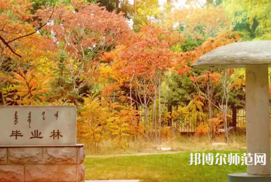 內蒙古大學師范學院滿洲里學院2023年怎么樣、好不好
