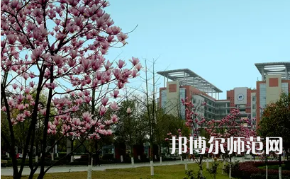 長(zhǎng)江師范學(xué)院2023年報(bào)名條件、招生要求、招生對(duì)象 