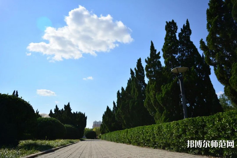 山東石油化工師范學(xué)院2023年報(bào)名條件、招生要求、招生對(duì)象 