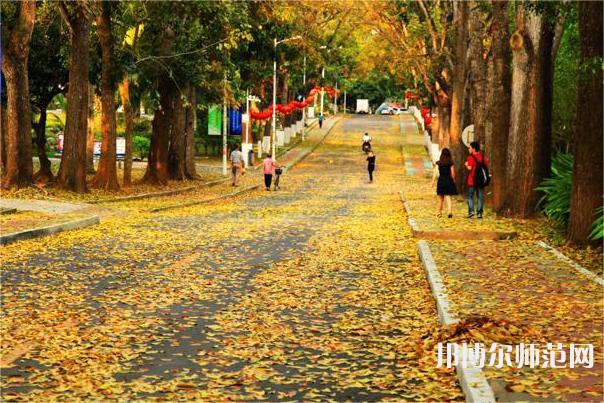海南大學(xué)師范學(xué)院海甸校區(qū)2023年報(bào)名條件、招生要求、招生對(duì)象 