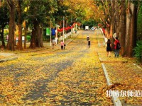 海南大學(xué)師范學(xué)院海甸校區(qū)2023年報(bào)名條件、招生要求、招生對象